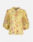 DONNIE ORCHID thumbnail